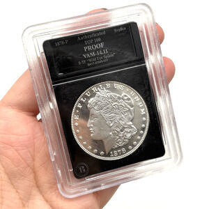 Bradford Exchange 1878-P TOP 100 VAM 14.11 8-TF Wild Eye Spikes Plated Proof